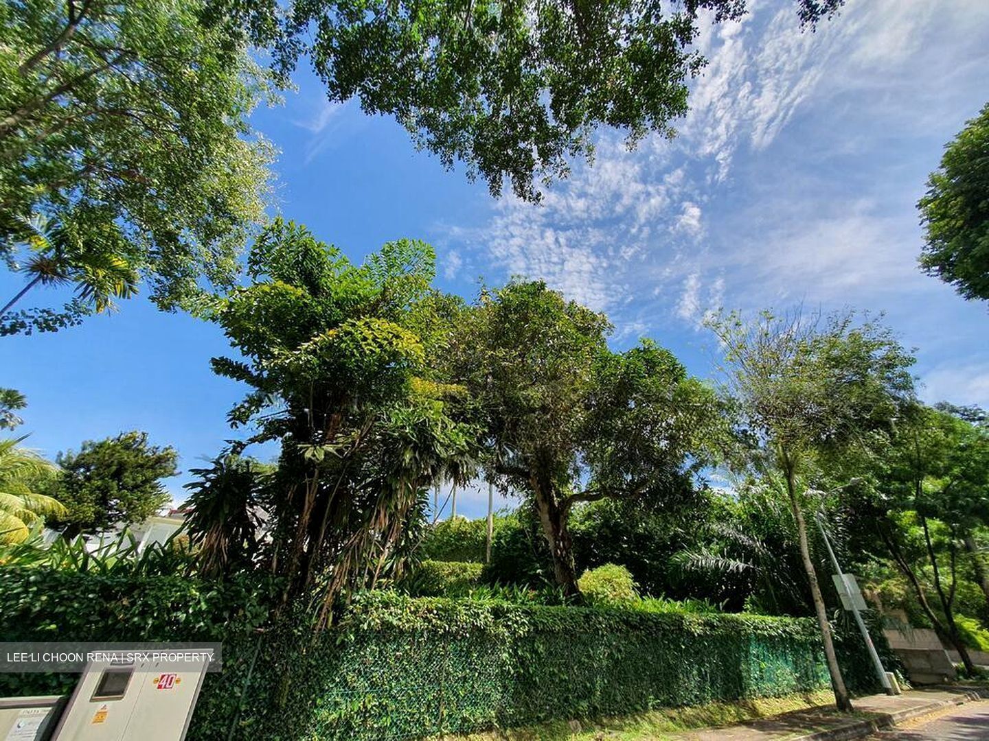 Orchard Road (D9), Detached #519310451